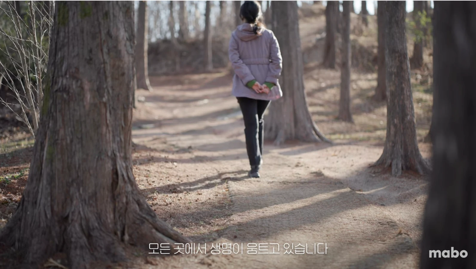 마보_걷기 명상 방법, 걸으면서 마음을 다스리는 법