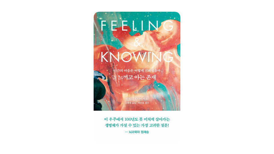 mabo_books (4).png