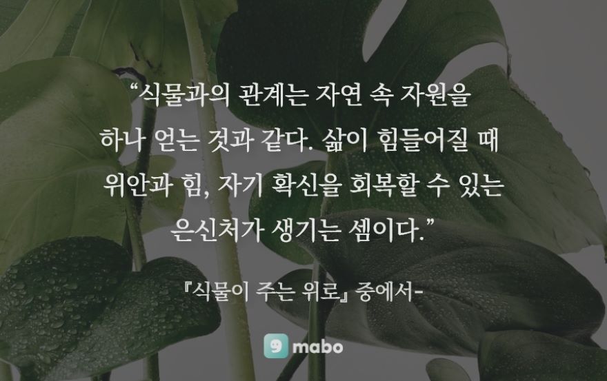 식물 기르기와 마음챙김의 효과