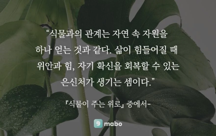 식물 기르기와 마음챙김의 효과
