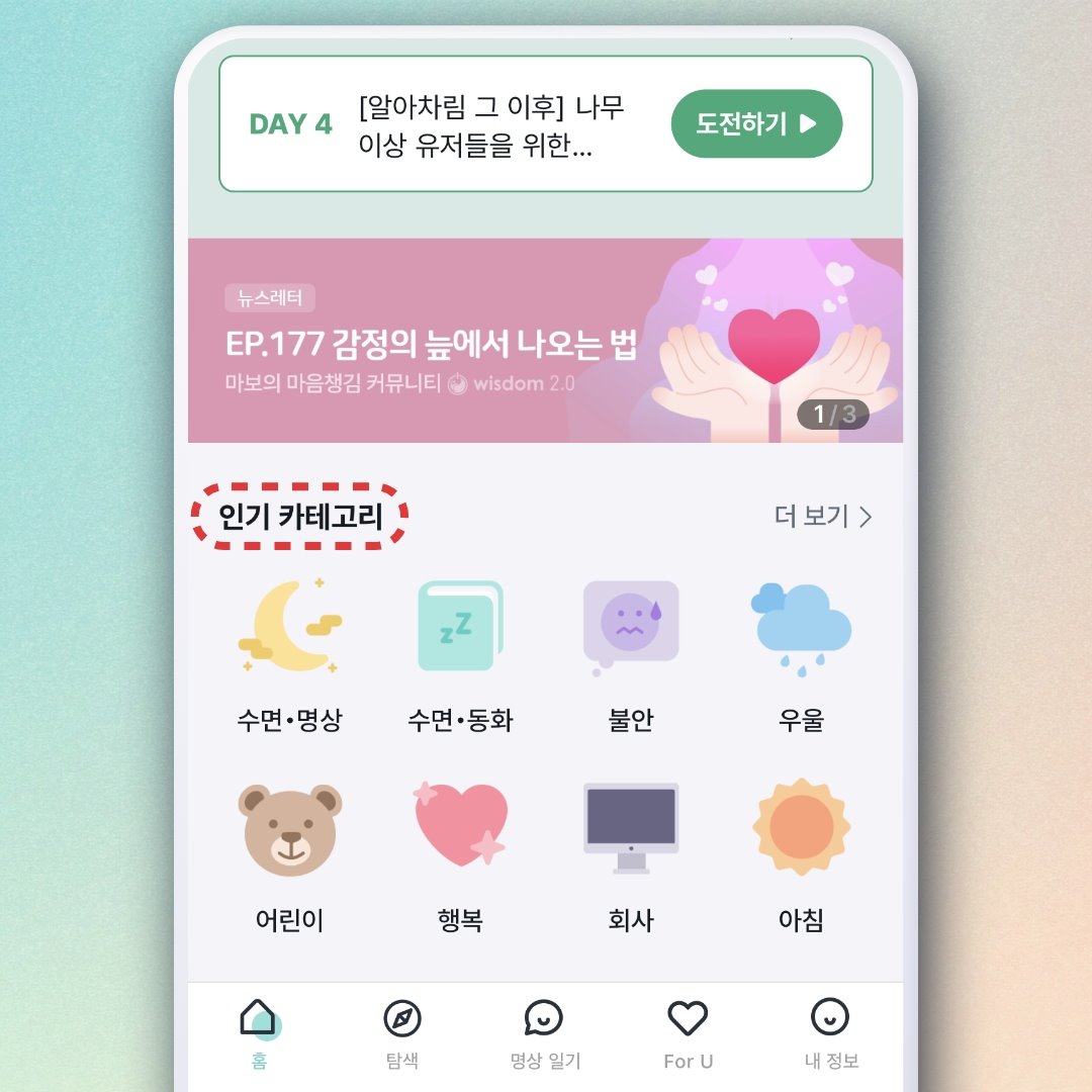인기 카테고리 가이드