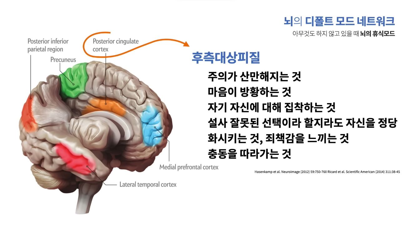디폴트 모드일 때 활성화되는 뇌 부위