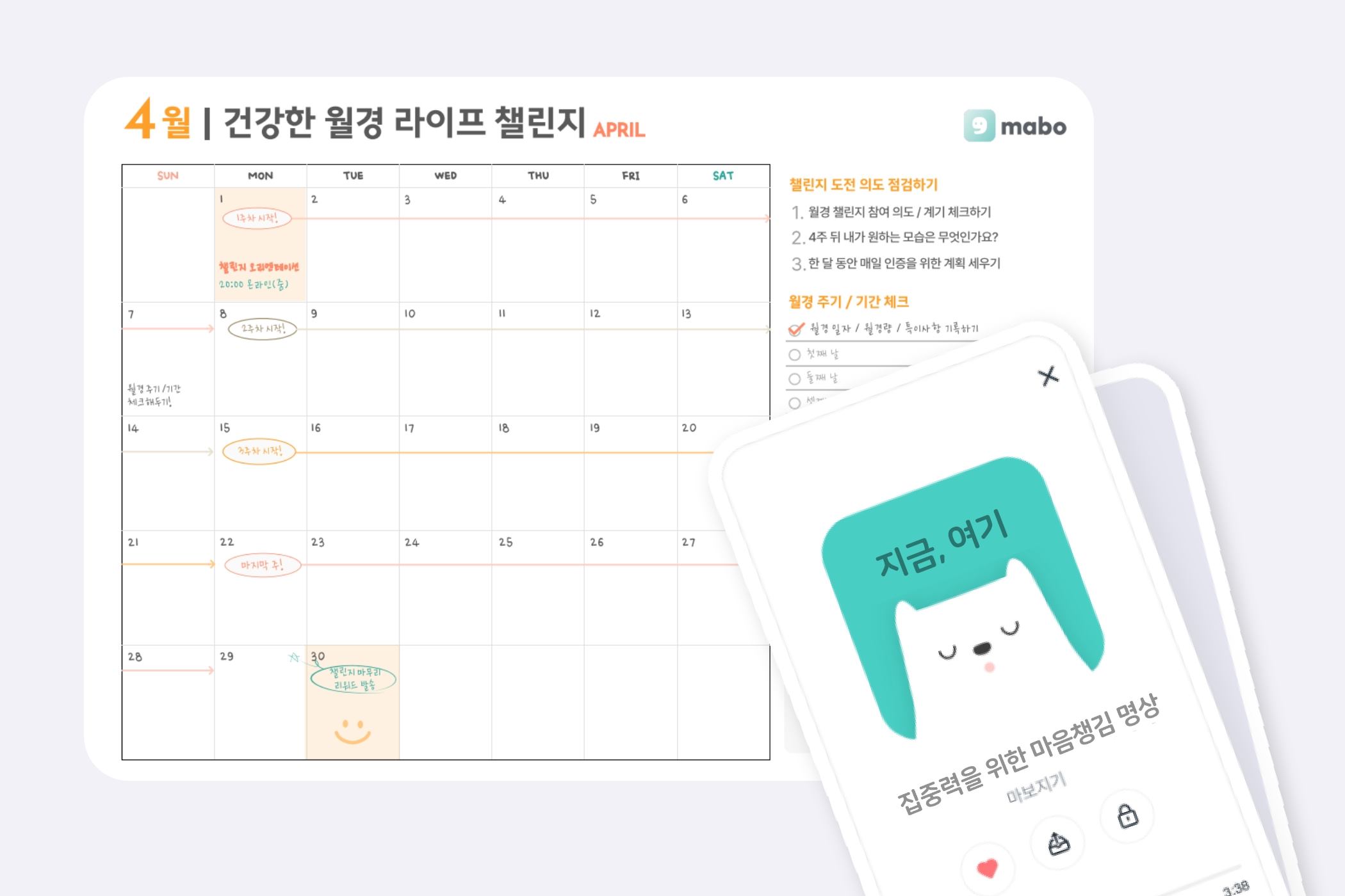 월경 챌린지 후기 프로필