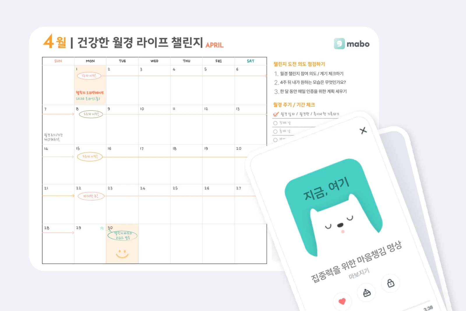 월경 챌린지 후기 프로필
