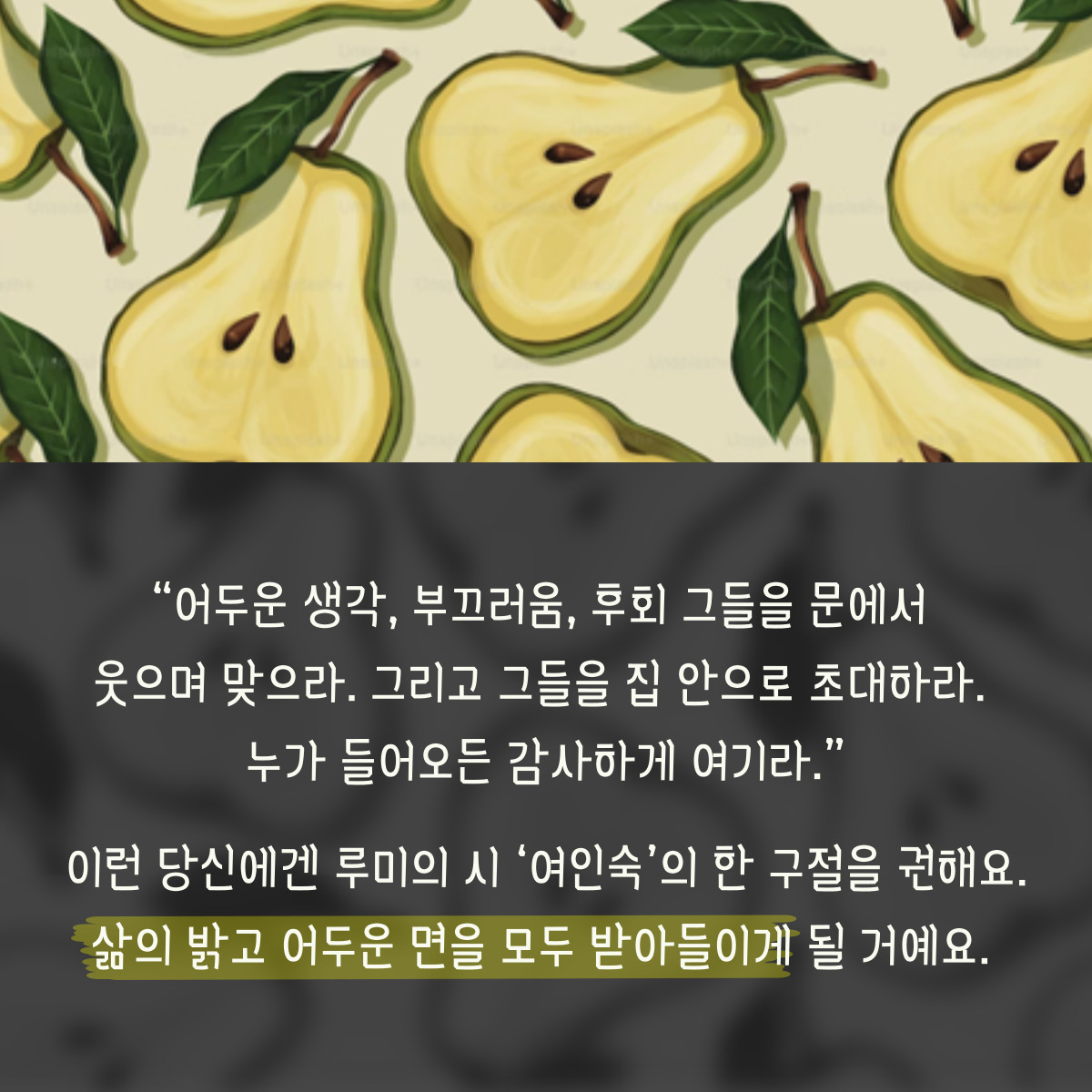 온화한 배형의 성격