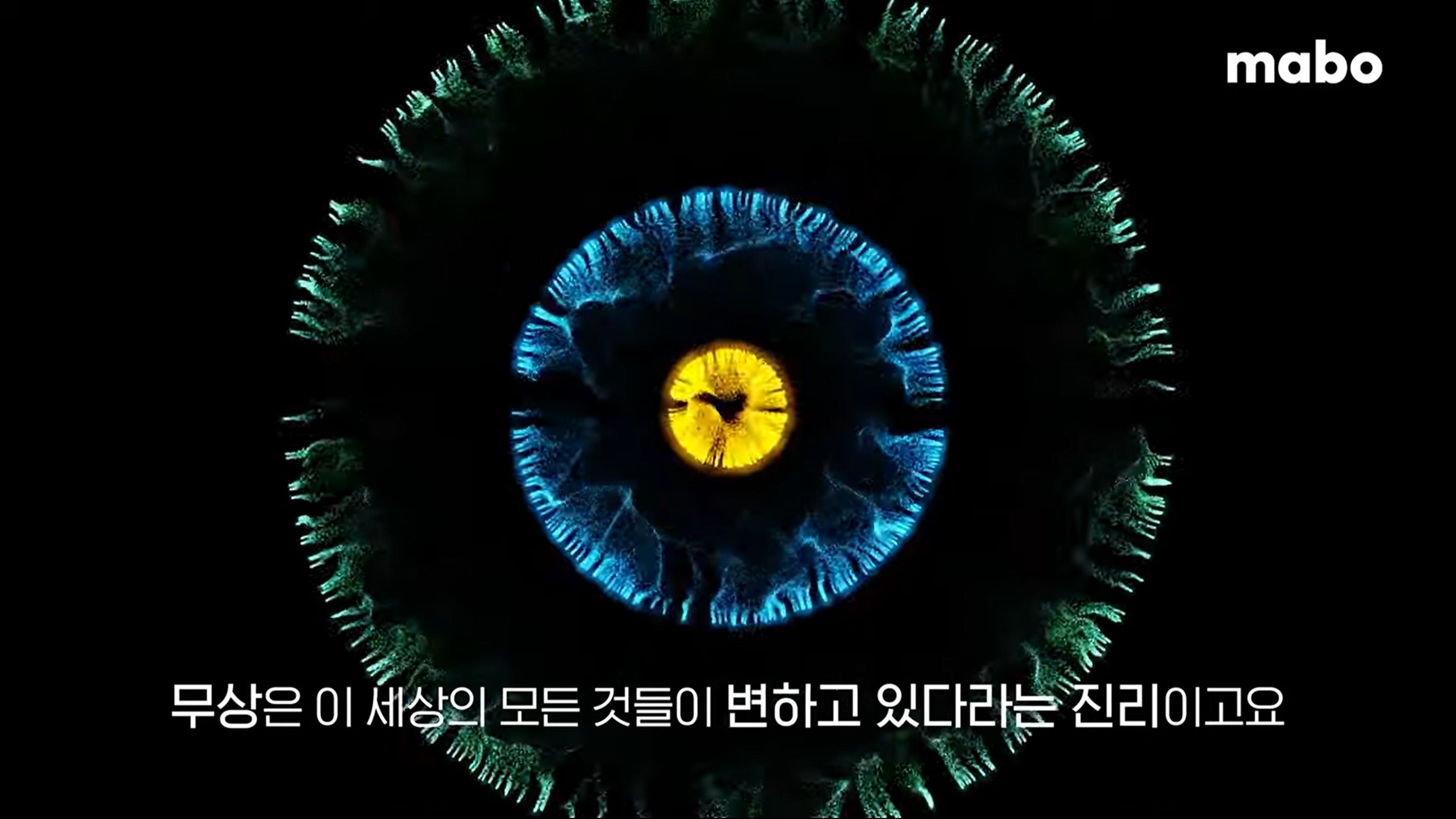 무상고무아.jpg