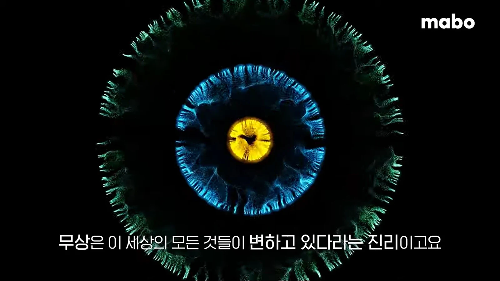 무상고무아.jpg