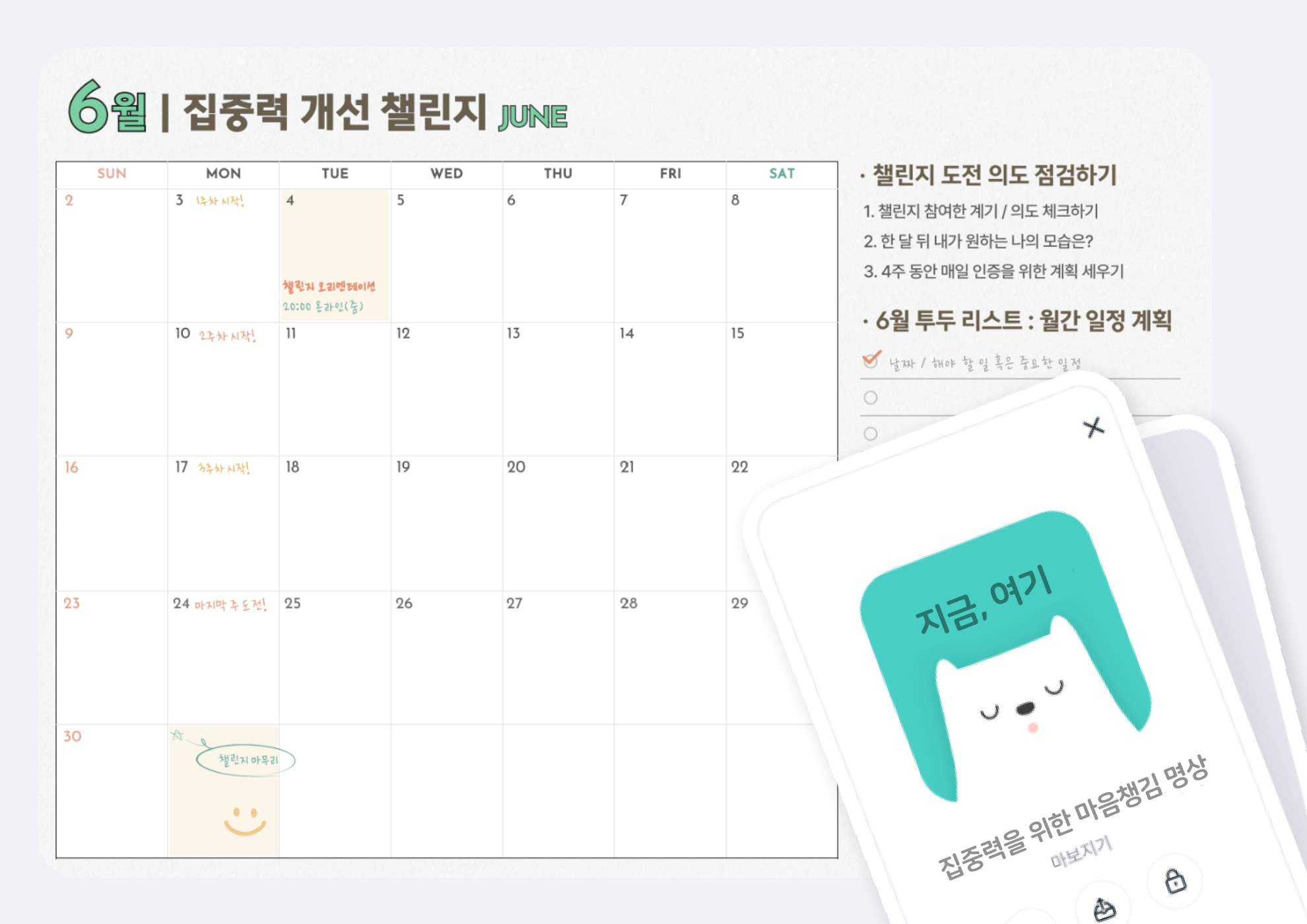 6월 진행된 챌린지 후기