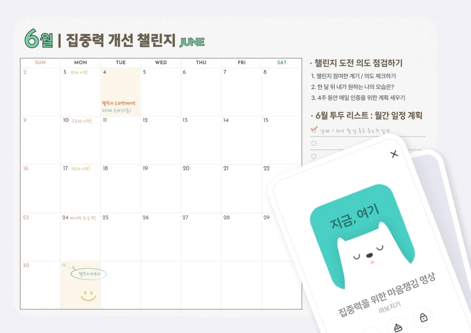 6월 진행된 챌린지 후기