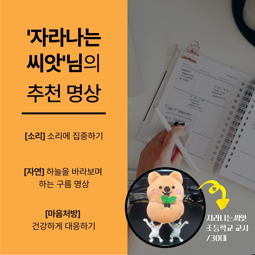 자라나는씨앗 명상 추천