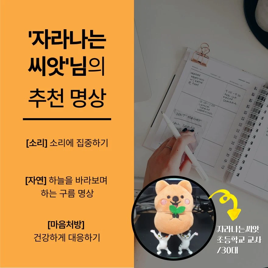 자라나는씨앗 명상 추천