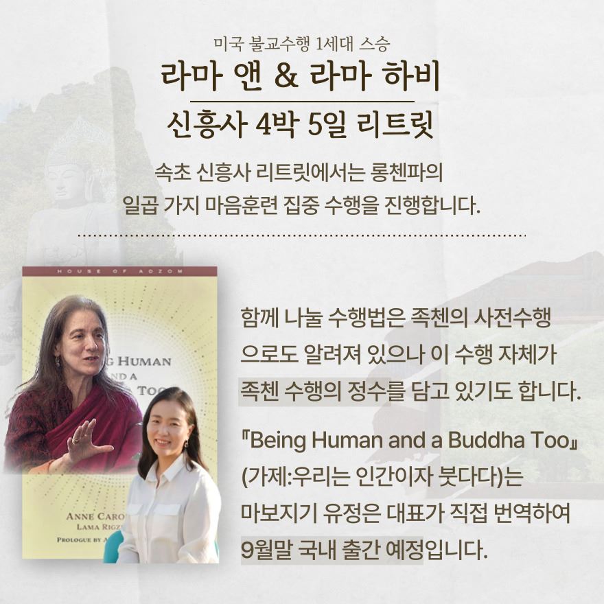 출간 안내 소식
