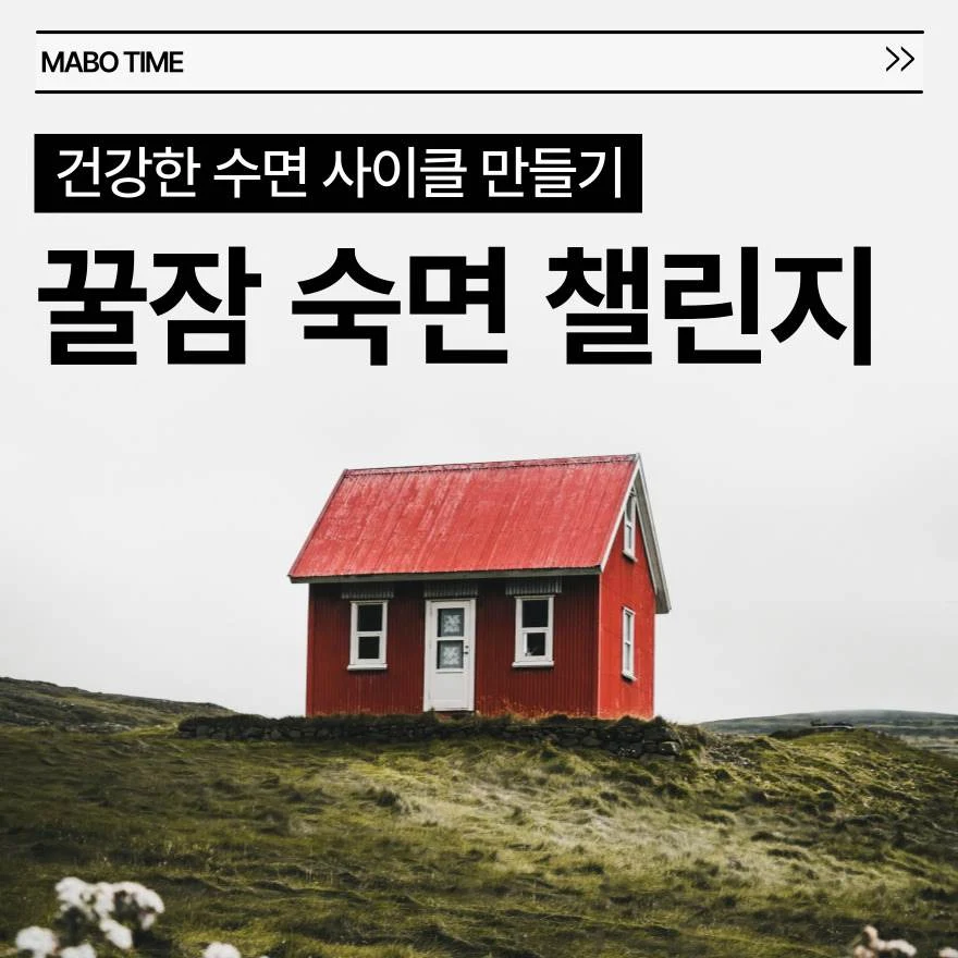 1번 기초 설명