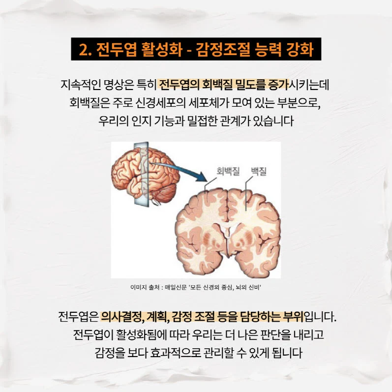 전두엽 활성화 감정 조절 능력