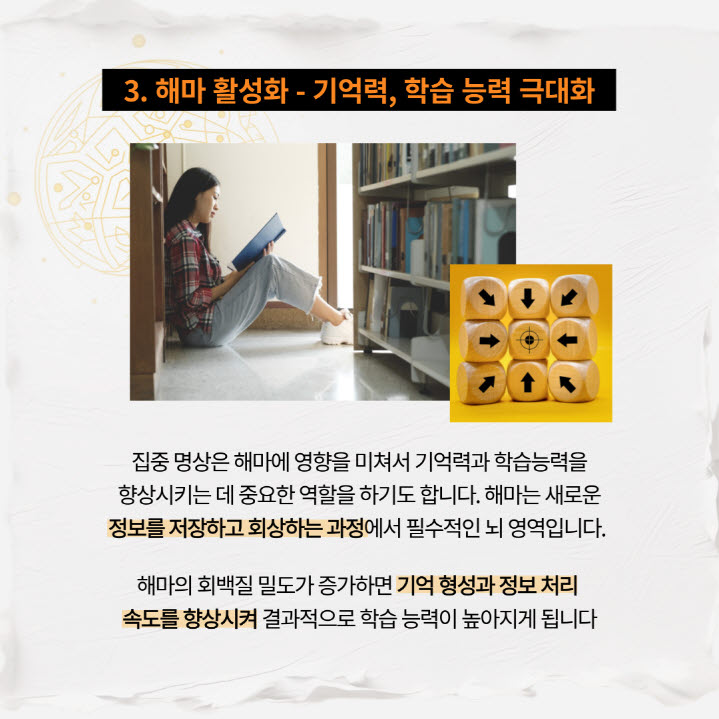 기억력을 주관하는 해마