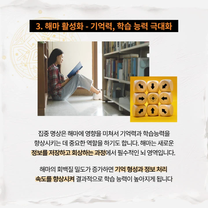 기억력을 주관하는 해마