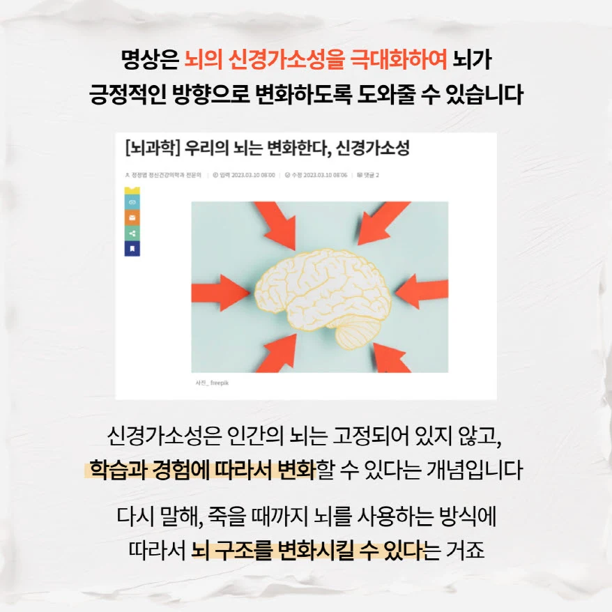 신경가소성 개념