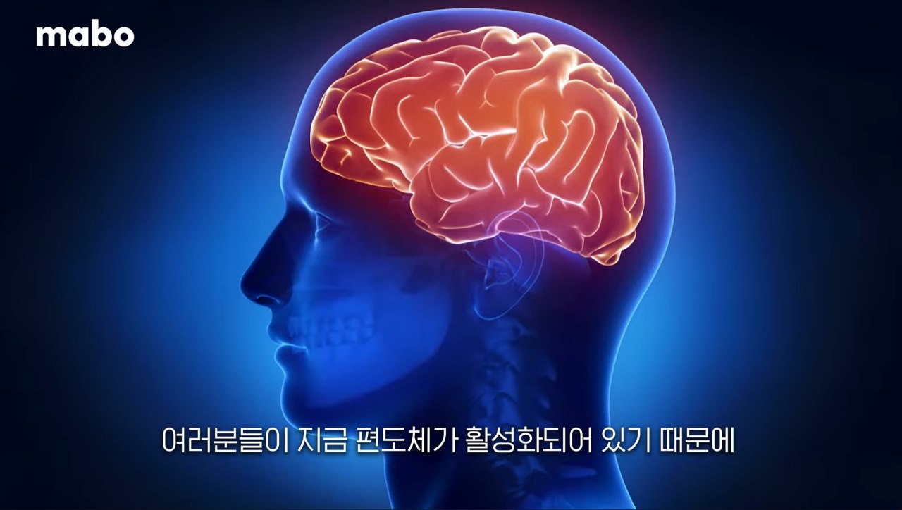편도체 활성화 스트레스 요인.jpg