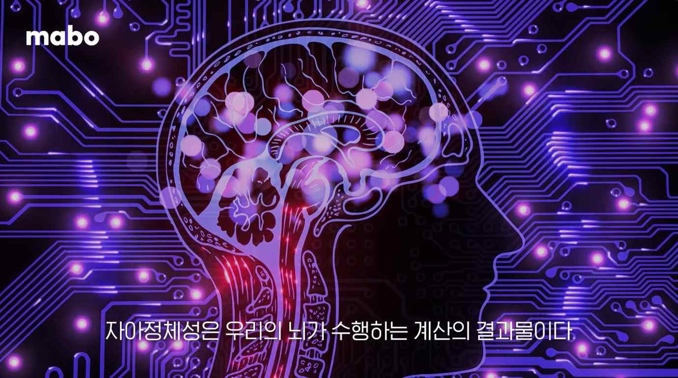 뇌가 수행하는 계산의 결과.jpg