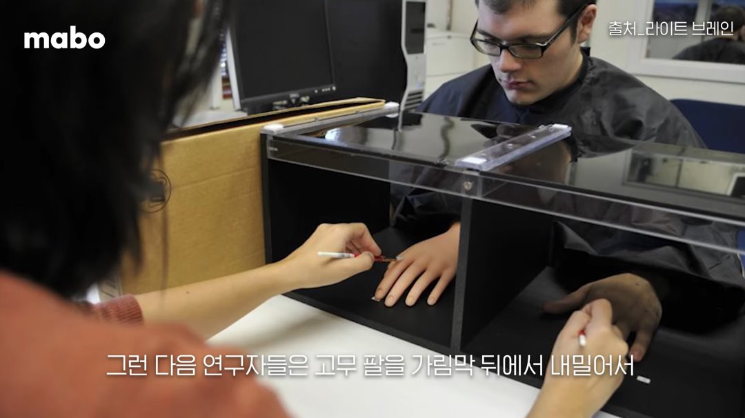 고무손 환각 실험.jpg