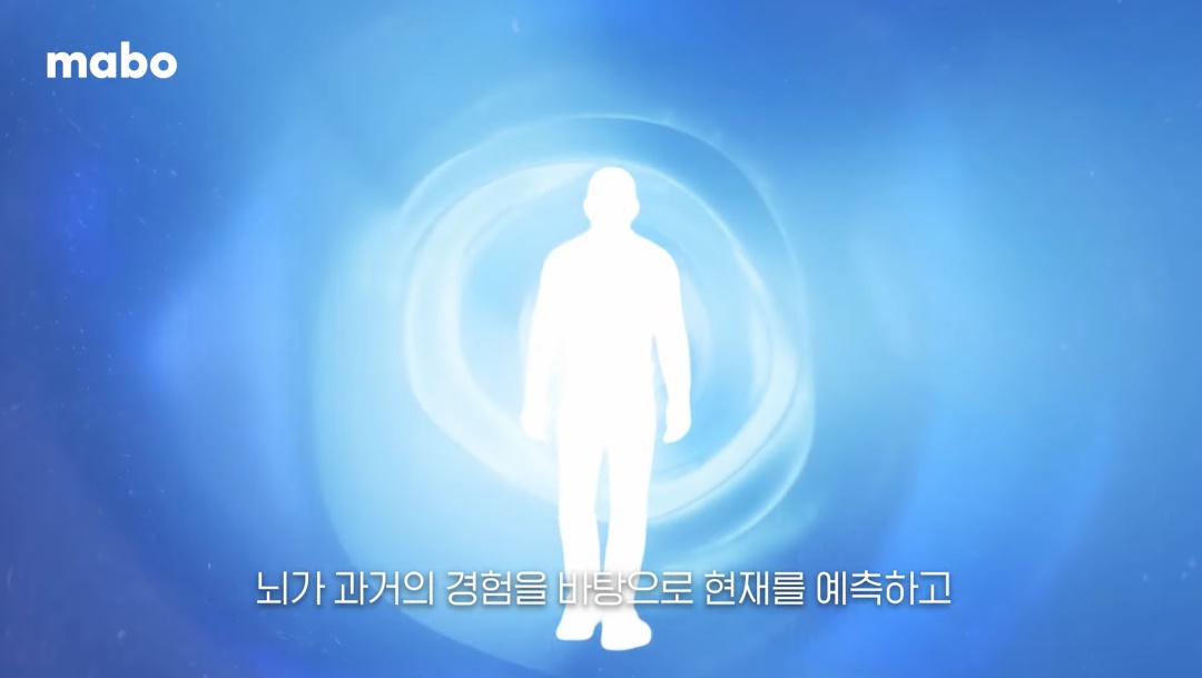 뇌의 베이지안 모델.jpg