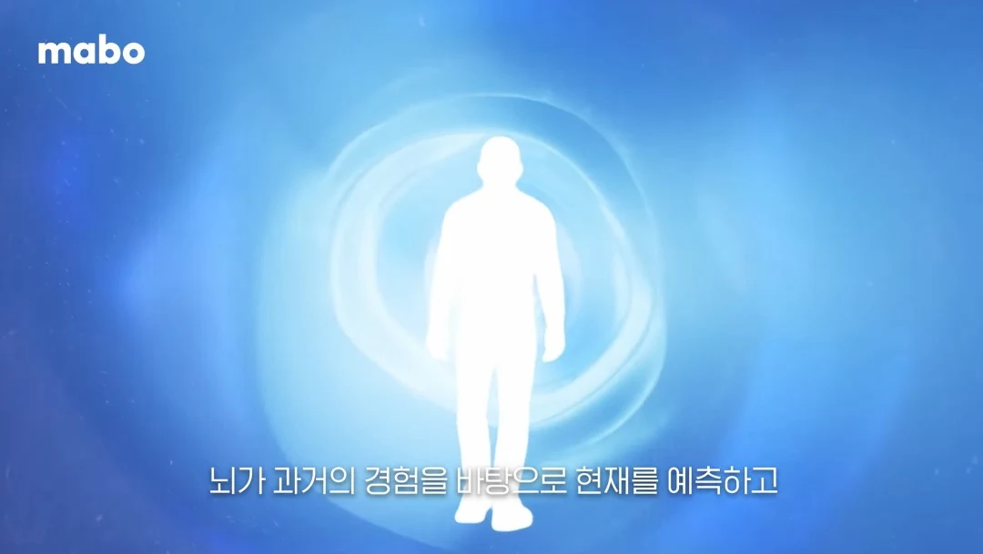 뇌의 베이지안 모델.jpg