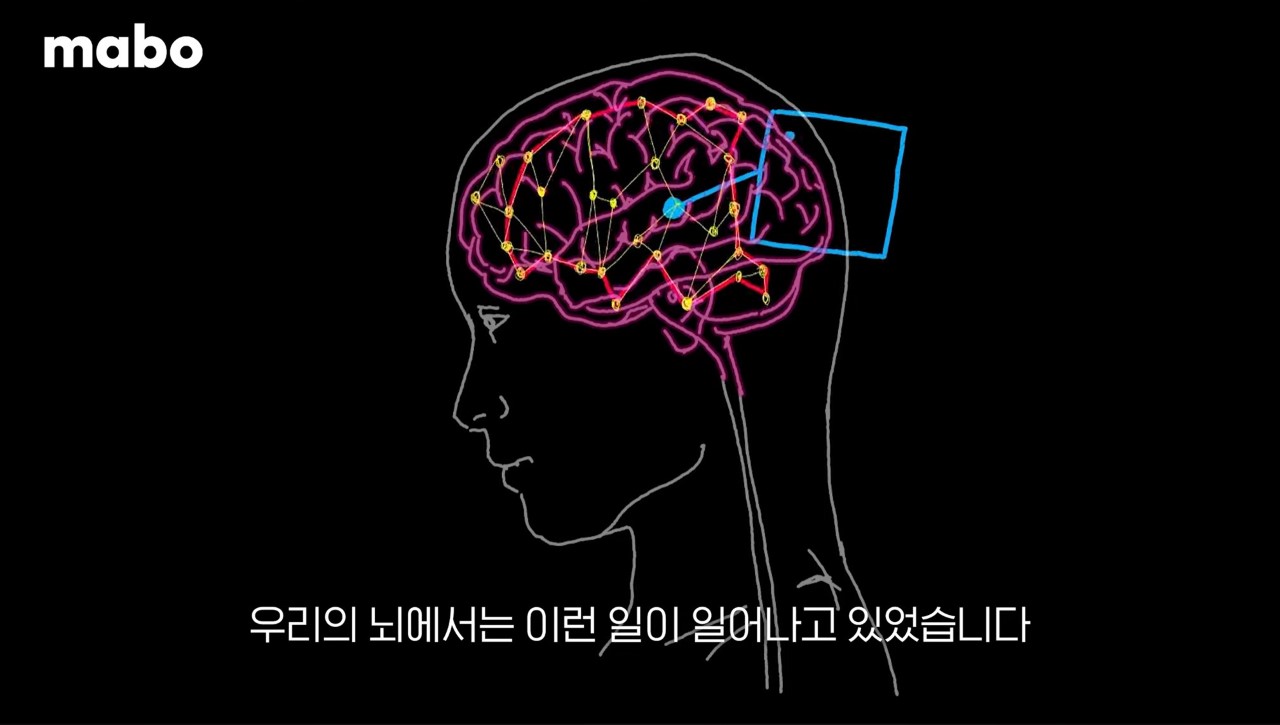 불안에 대한 편도체 활성화 반응.jpg