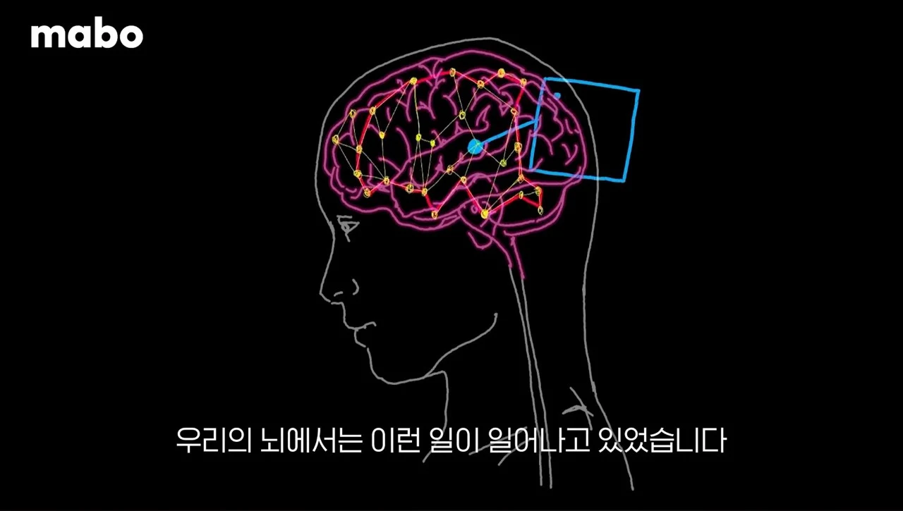 불안에 대한 편도체 활성화 반응.jpg