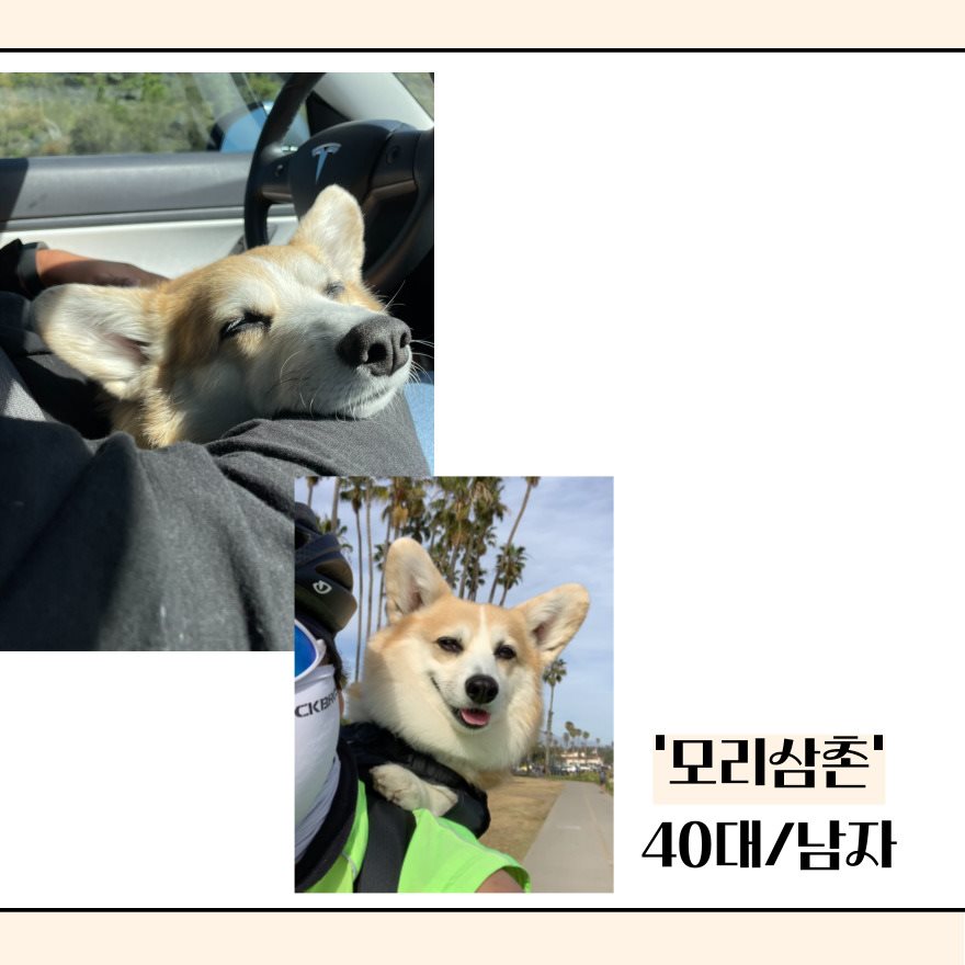 마보 챌린지 유저 모리삼촌.jpg