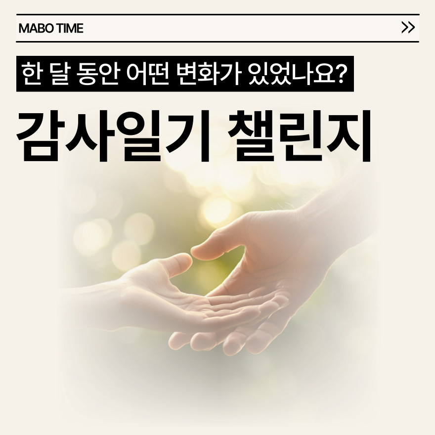 감사일기 챌린지 후기