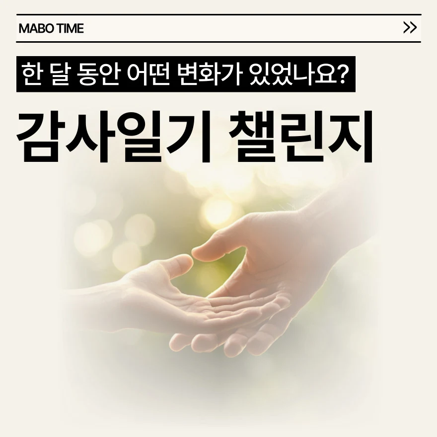 감사일기 챌린지 후기