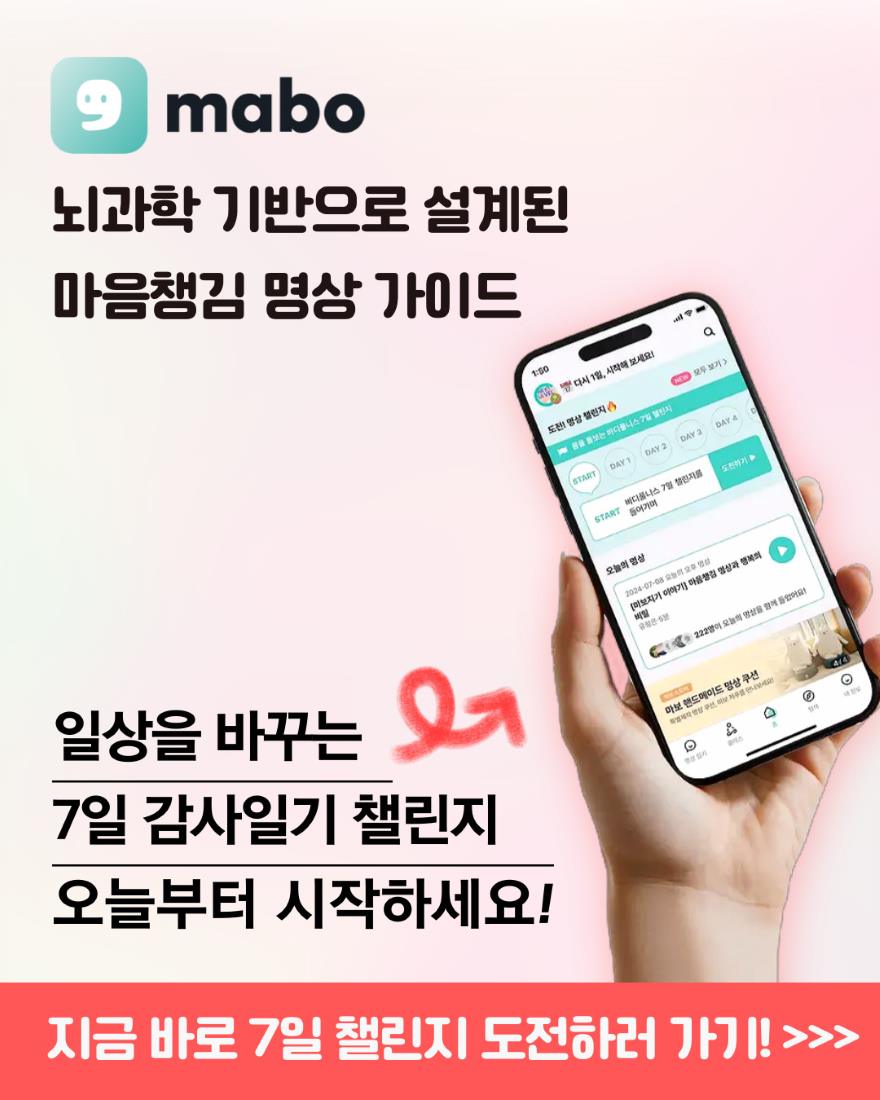 7일 챌린지 도전하기.jpg