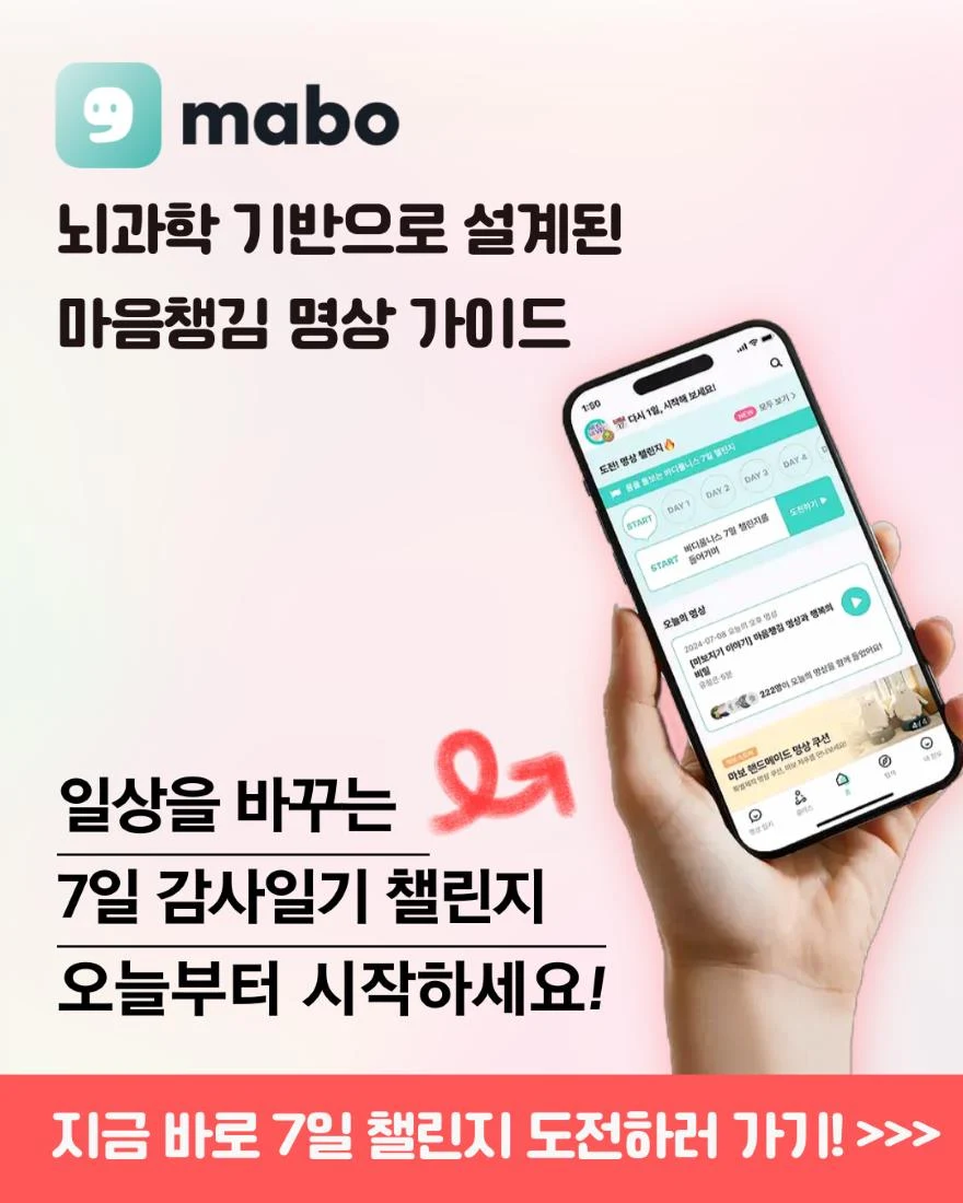 7일 챌린지 도전하기.jpg