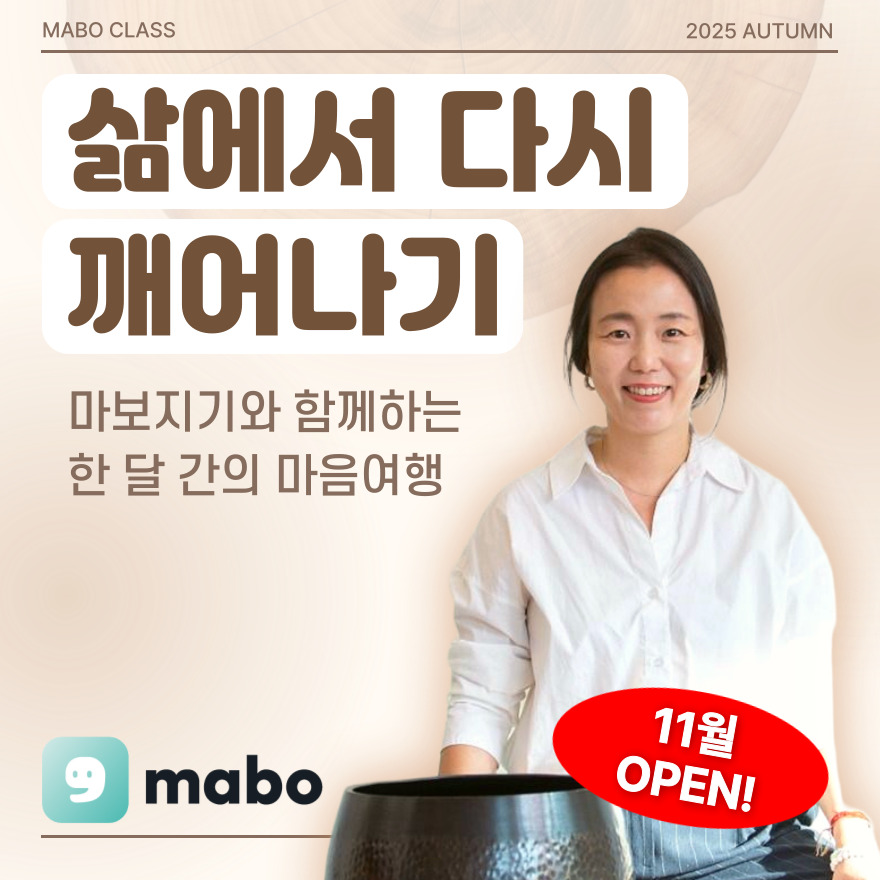 2025년 마지막 마보과정