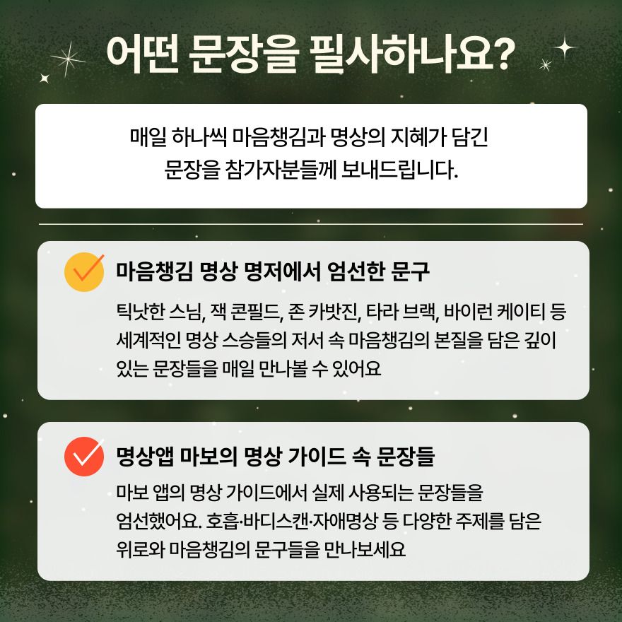 챌린지 진행방식