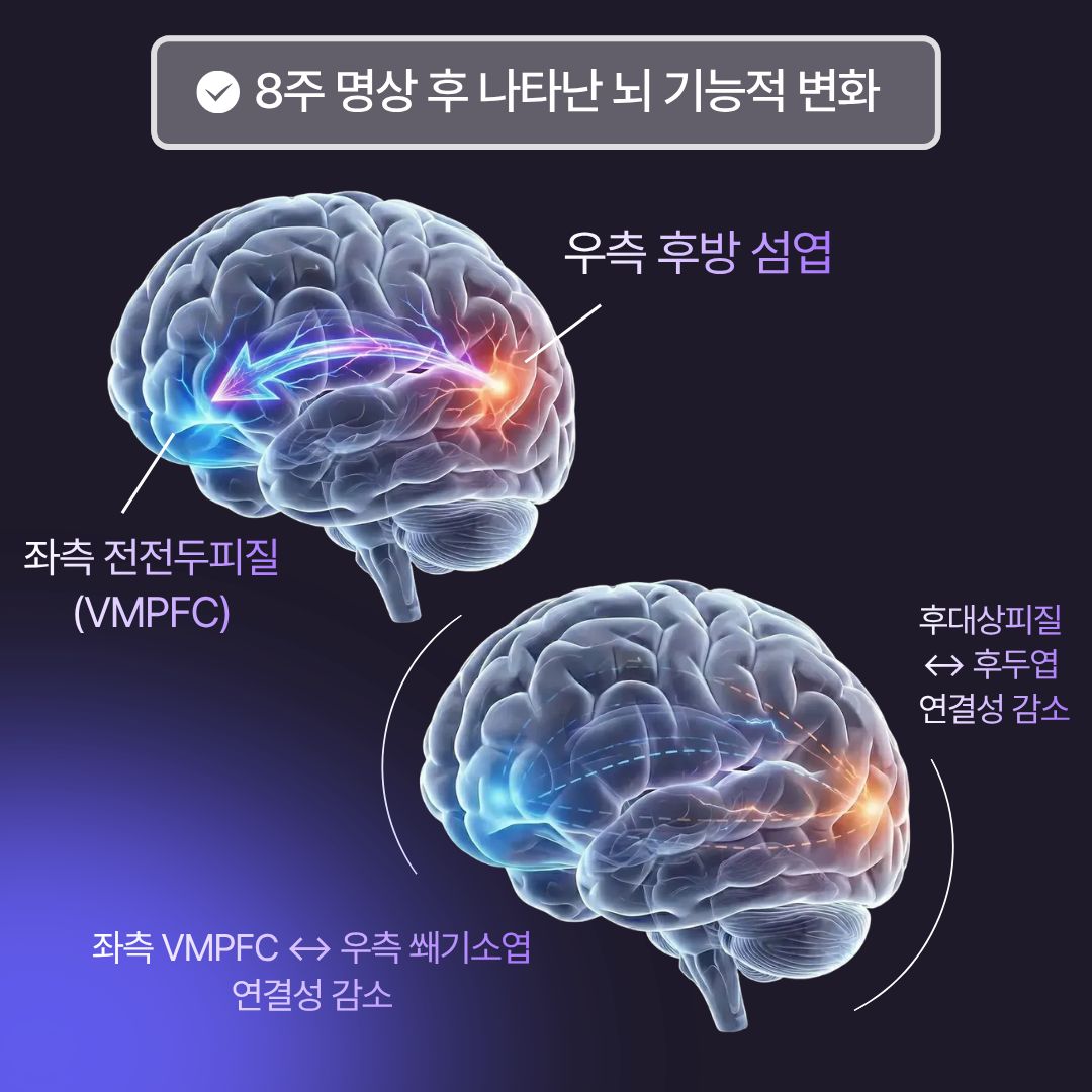 뇌과학적 변화