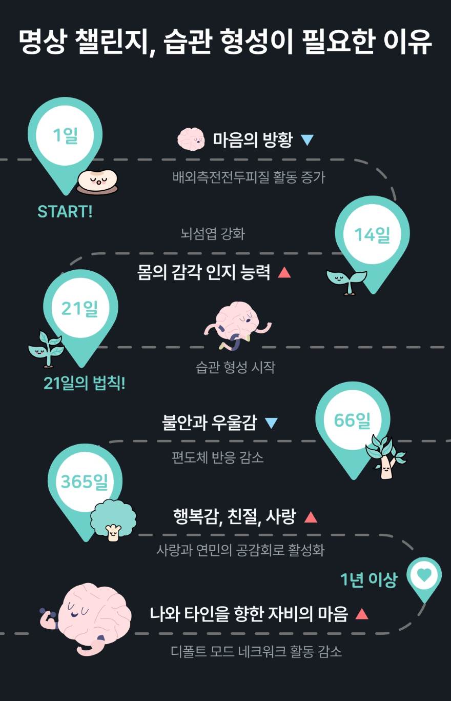 명상뇌의변화.jpg