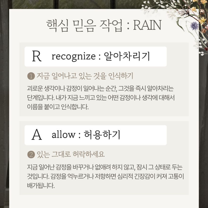 레인 명상 가이드