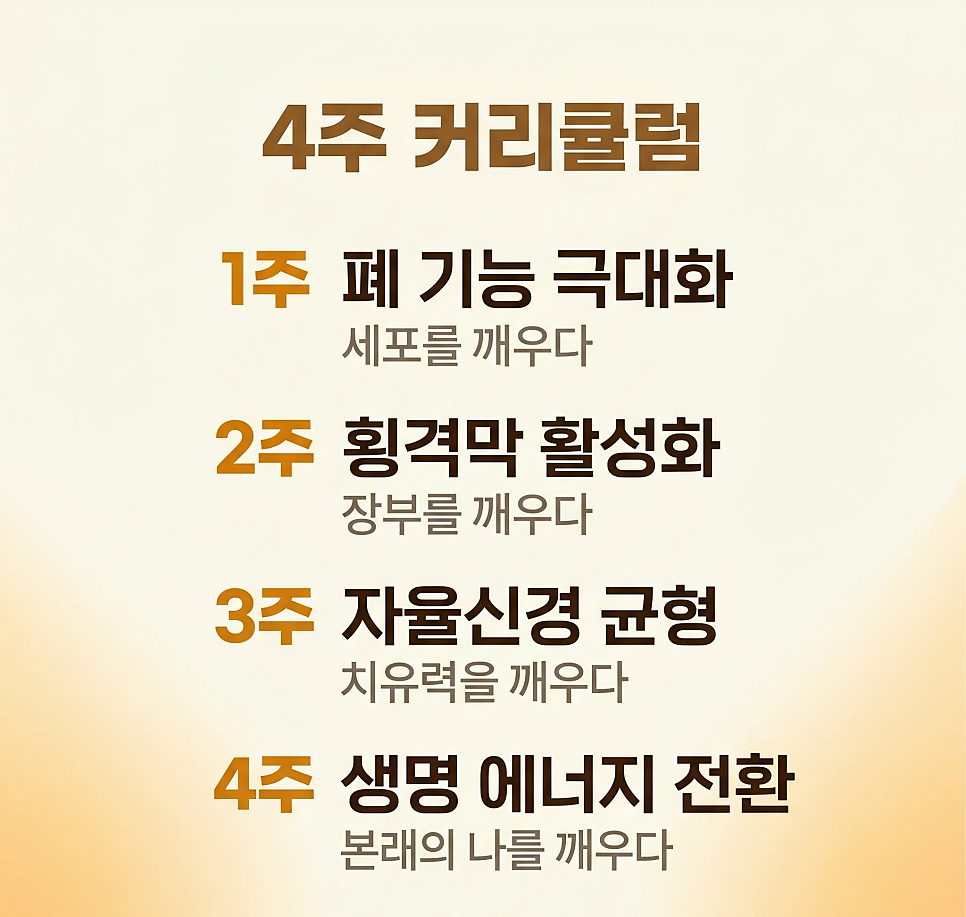 KakaoTalk_20260617_145121667_03.png
