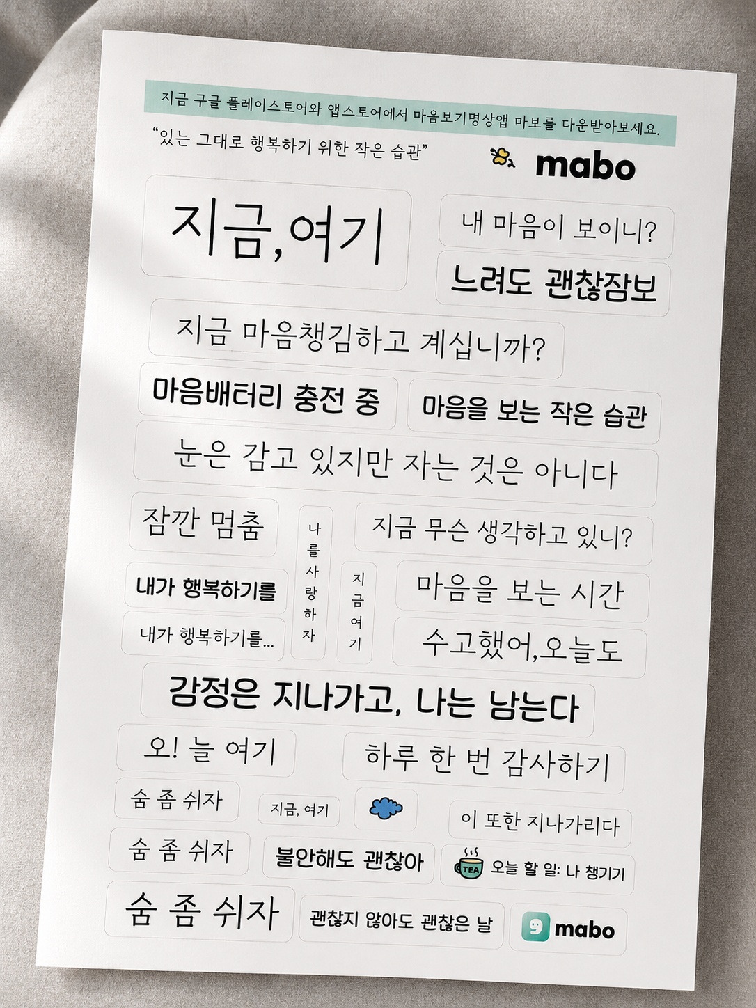 KakaoTalk_20260605_104851593.jpg